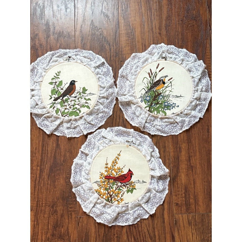 Vtg Set Of 3 Bird Wall Hanging Lace Ruffle Embroidery Hoop Art Cottagecore